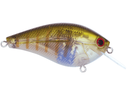 Livingston Lures Primetyme CB 2.0 (EBS MultiTouch) - Angler's Pro Tackle & Outdoors