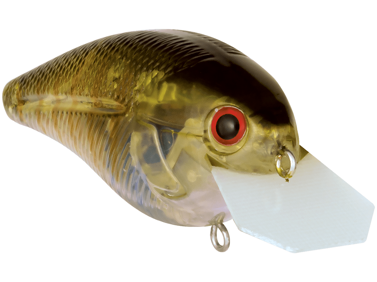 Livingston Lures Primetyme CB 2.0 (EBS MultiTouch) - Angler's Pro Tackle & Outdoors