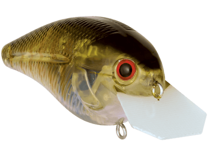 Livingston Lures Primetyme CB 2.0 (EBS MultiTouch) - Angler's Pro Tackle & Outdoors