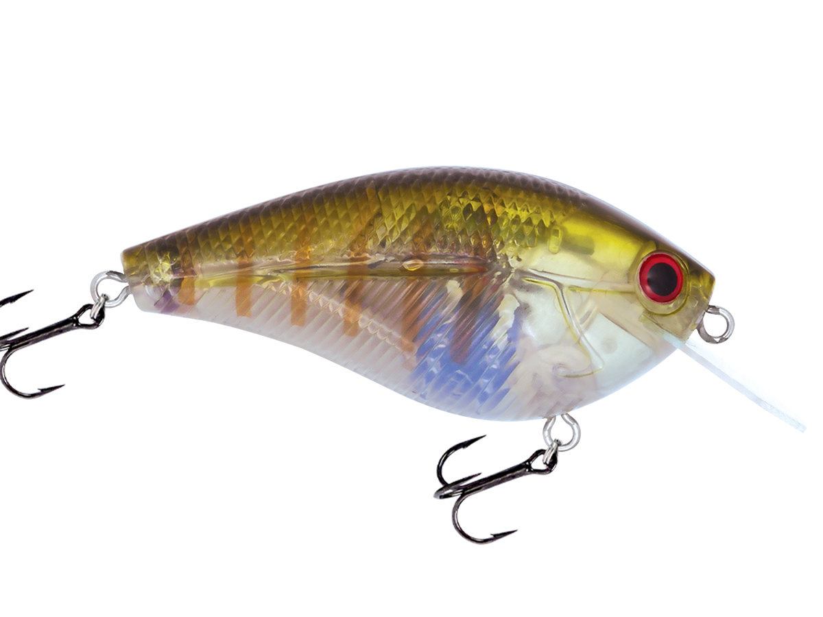 Livingston Lures Primetyme CB 2.0 (EBS MultiTouch) - Angler's Pro Tackle & Outdoors