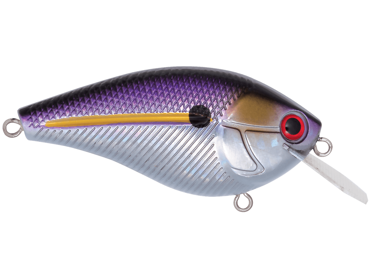 Livingston Lures Primetyme CB 2.0 (EBS MultiTouch) - Angler's Pro Tackle & Outdoors