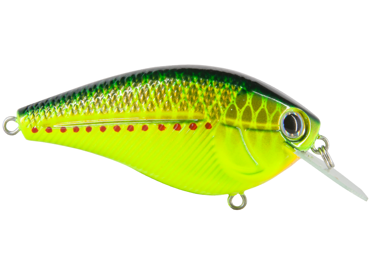 Livingston Lures Primetyme CB 2.0 (EBS MultiTouch) - Angler's Pro Tackle & Outdoors