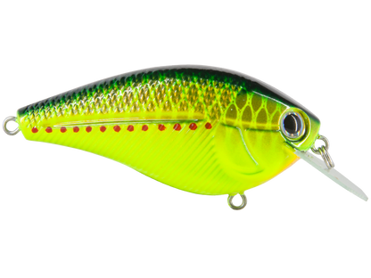 Livingston Lures Primetyme CB 2.0 (EBS MultiTouch) - Angler's Pro Tackle & Outdoors
