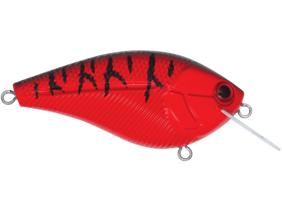 Livingston Lures Primetyme CB 2.0 (EBS MultiTouch) - Angler's Pro Tackle & Outdoors
