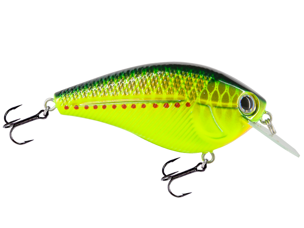 Livingston Lures Primetyme CB 2.0 (EBS MultiTouch) - Angler's Pro Tackle & Outdoors