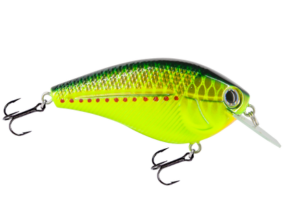 Livingston Lures Primetyme CB 2.0 (EBS MultiTouch) - Angler's Pro Tackle & Outdoors