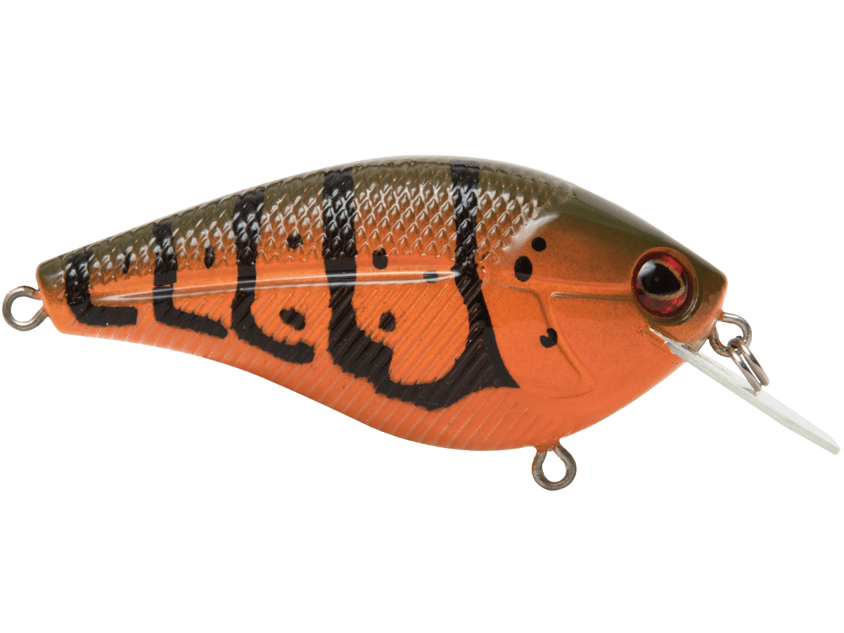 Livingston Lures Primetyme CB 2.0 (EBS MultiTouch) - Angler's Pro Tackle & Outdoors