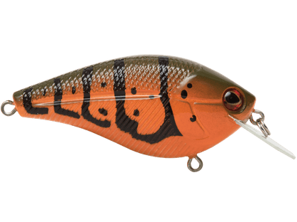 Livingston Lures Primetyme CB 2.0 (EBS MultiTouch) - Angler's Pro Tackle & Outdoors