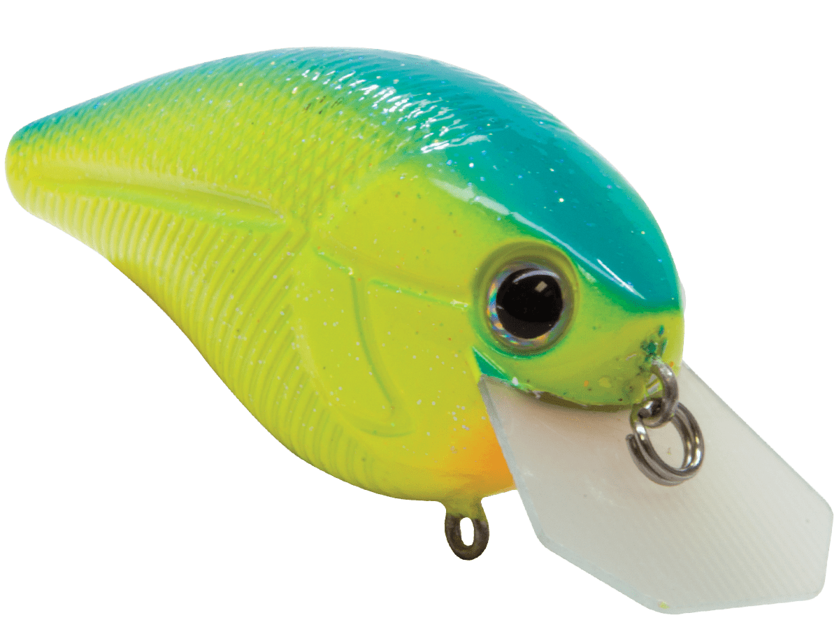 Livingston Lures Primetyme CB 2.0 (EBS MultiTouch) - Angler's Pro Tackle & Outdoors