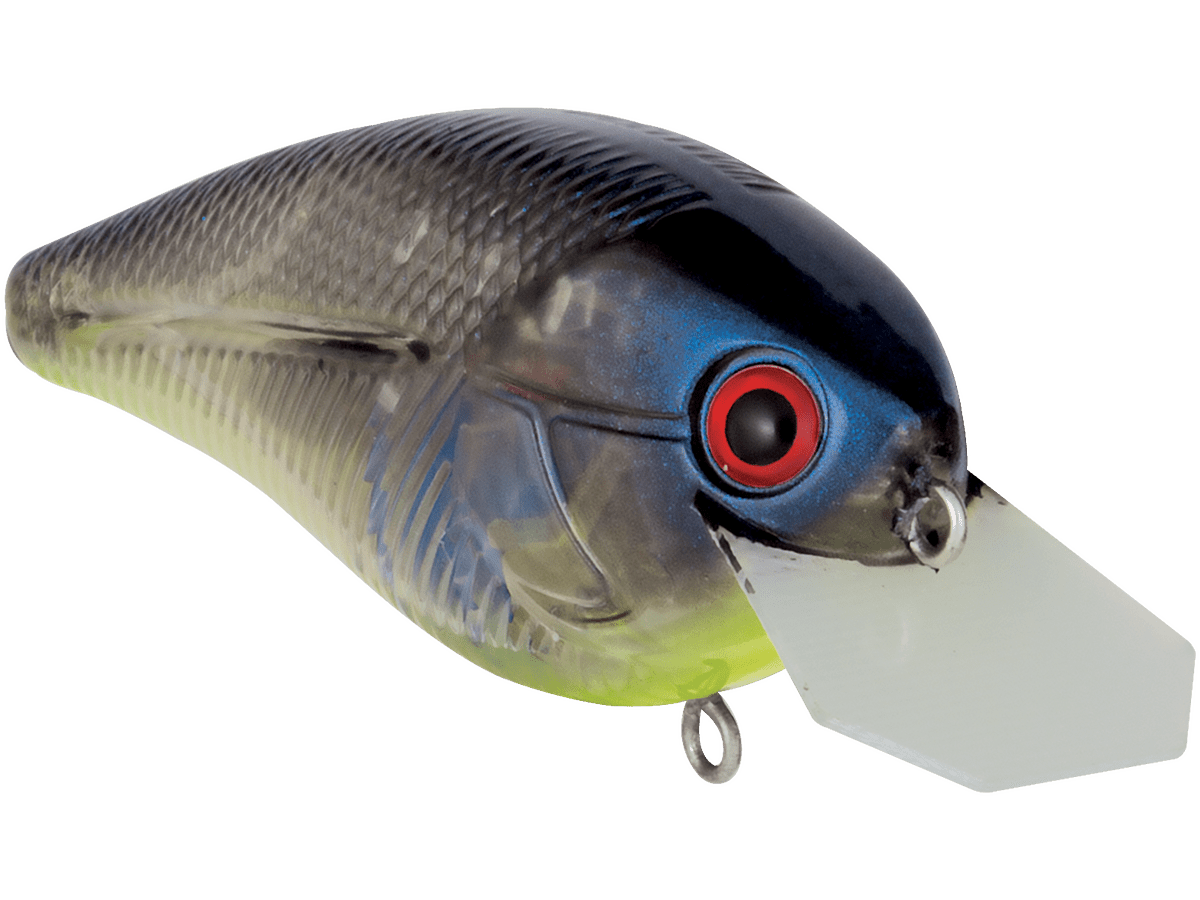 Livingston Lures Primetyme CB 2.0 (EBS MultiTouch) - Angler's Pro Tackle & Outdoors