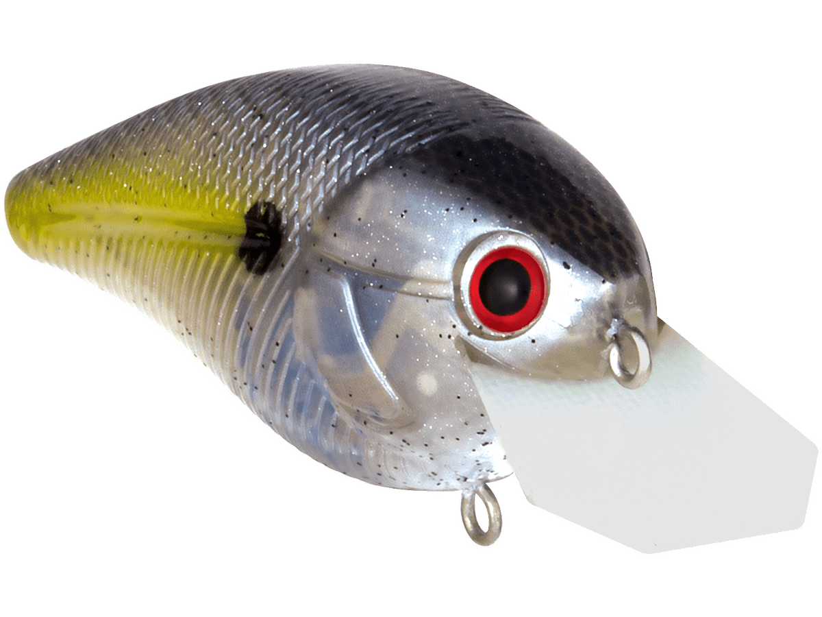 Livingston Lures Primetyme CB 2.0 (EBS MultiTouch) - Angler's Pro Tackle & Outdoors