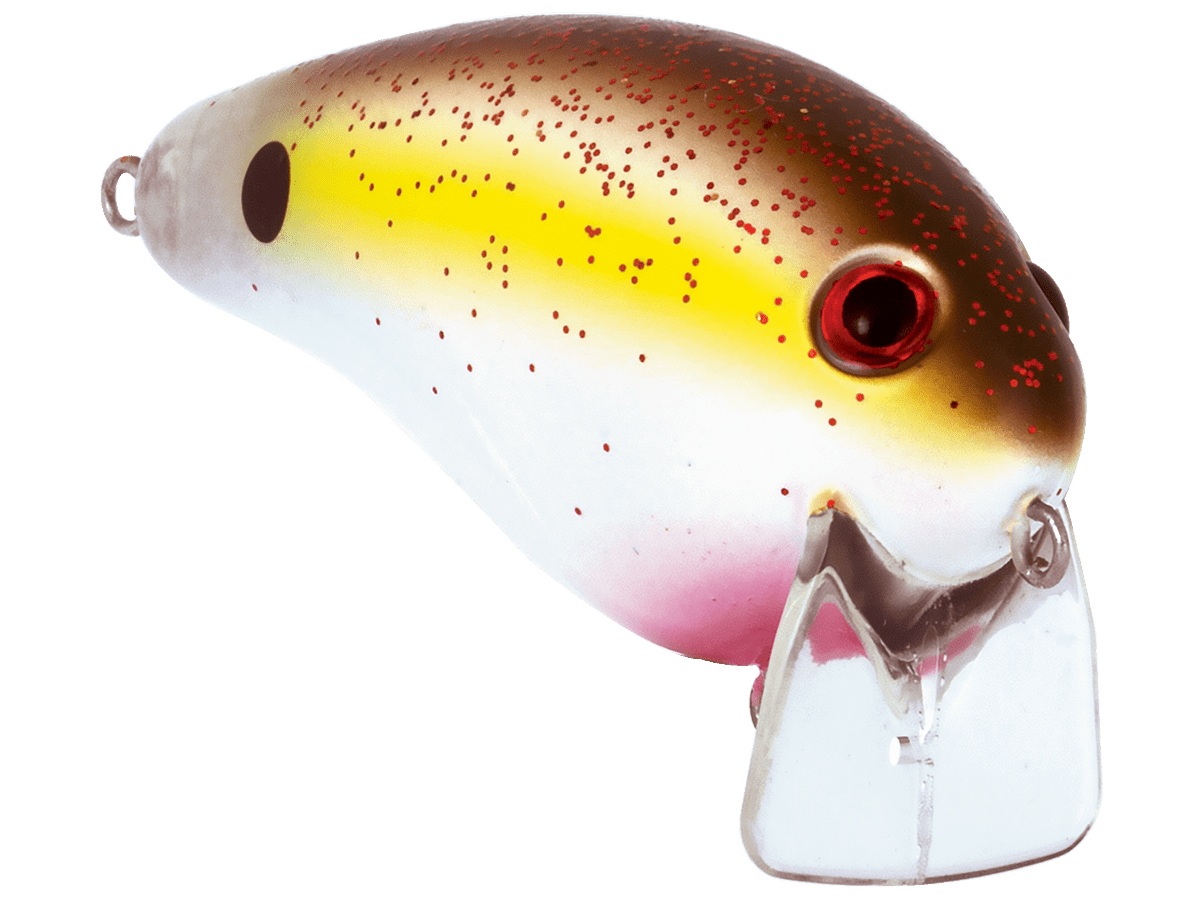 Livingston Lures Pro Wake - Angler's Pro Tackle & Outdoors