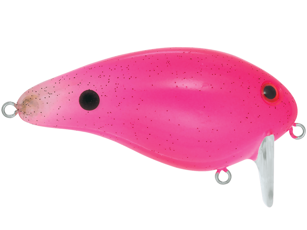 Livingston Lures Pro Wake - Angler's Pro Tackle & Outdoors