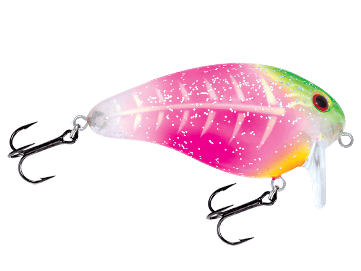 Livingston Lures Pro Wake - Angler's Pro Tackle & Outdoors