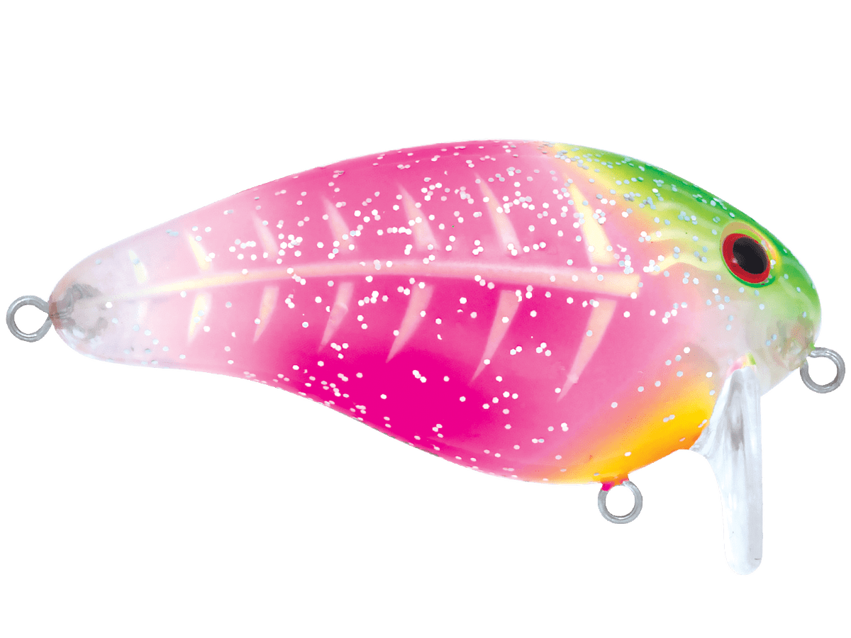 Livingston Lures Pro Wake - Angler's Pro Tackle & Outdoors
