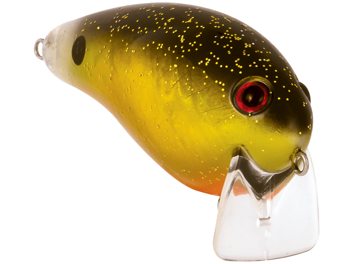 Livingston Lures Pro Wake - Angler's Pro Tackle & Outdoors