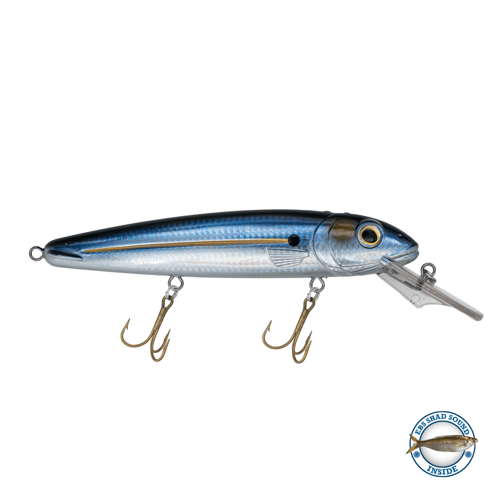 Livingston Lures Rachel (Suspending) 8" - Angler's Pro Tackle & Outdoors