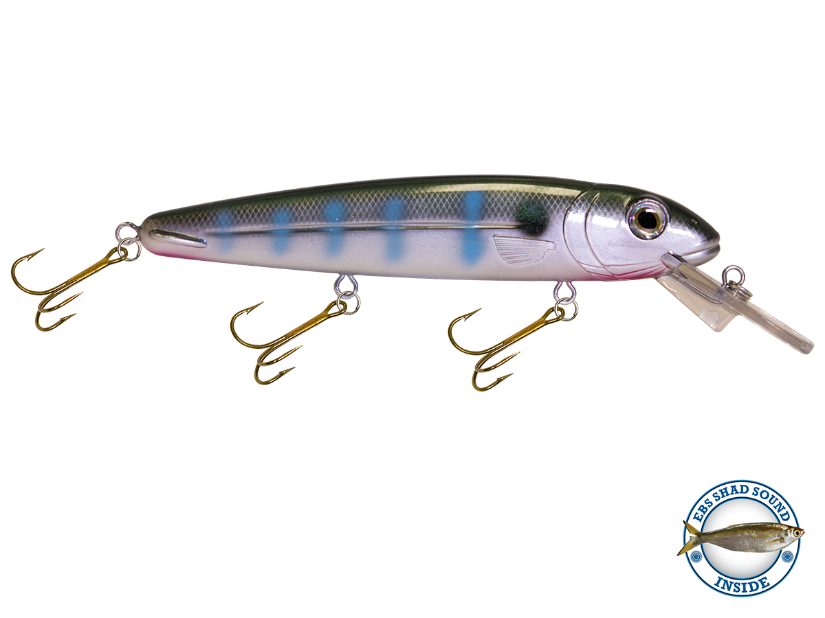 Livingston Lures Rachel (Suspending) 8" - Angler's Pro Tackle & Outdoors