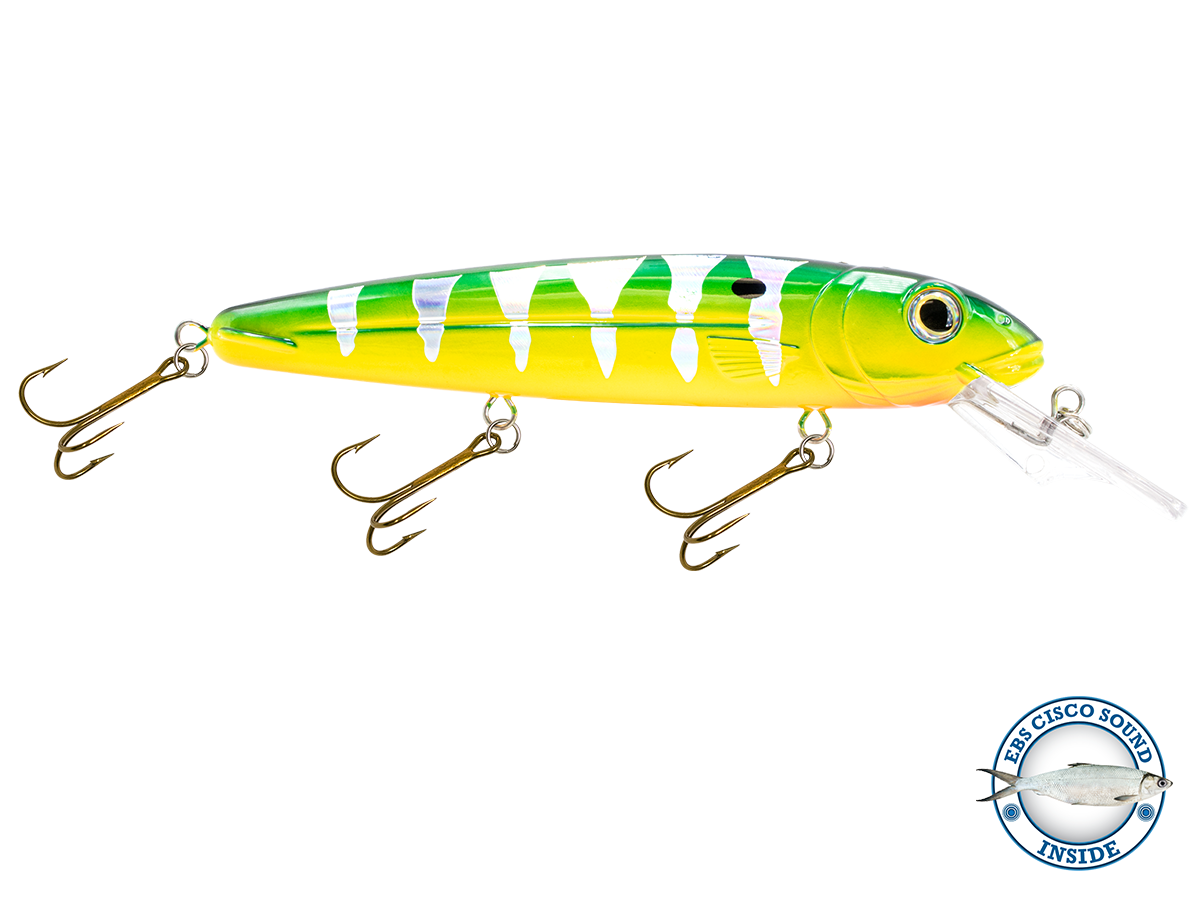 Livingston Lures Rachel (Suspending) 8" - Angler's Pro Tackle & Outdoors