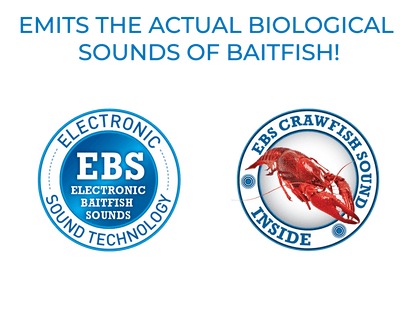 Livingston Lures School Master - Angler's Pro Tackle & Outdoors