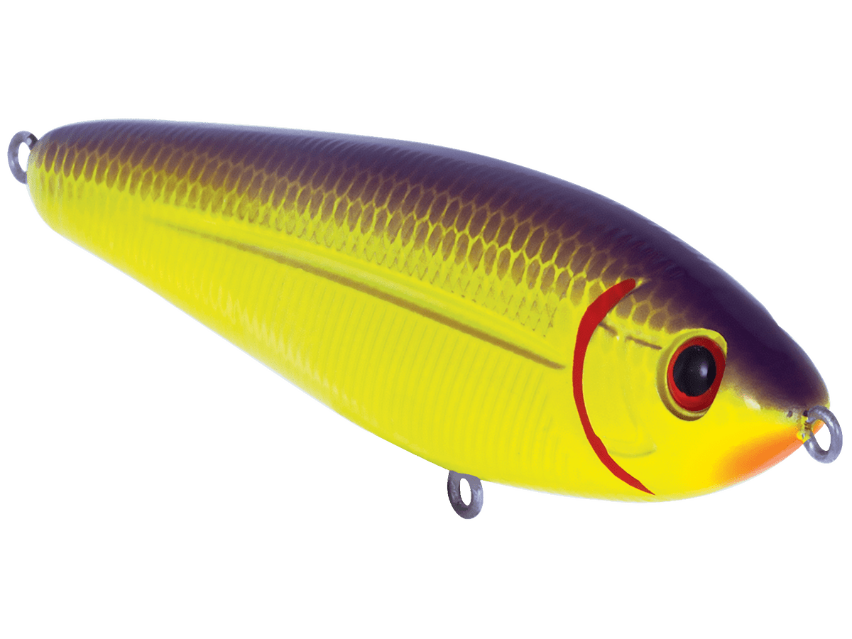 Livingston Lures School Master (EBS MultiTouch) - Angler's Pro Tackle & Outdoors