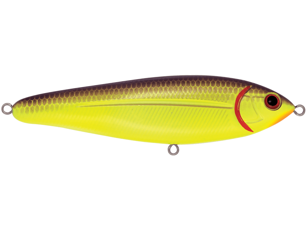 Livingston Lures School Master (EBS MultiTouch) - Angler's Pro Tackle & Outdoors