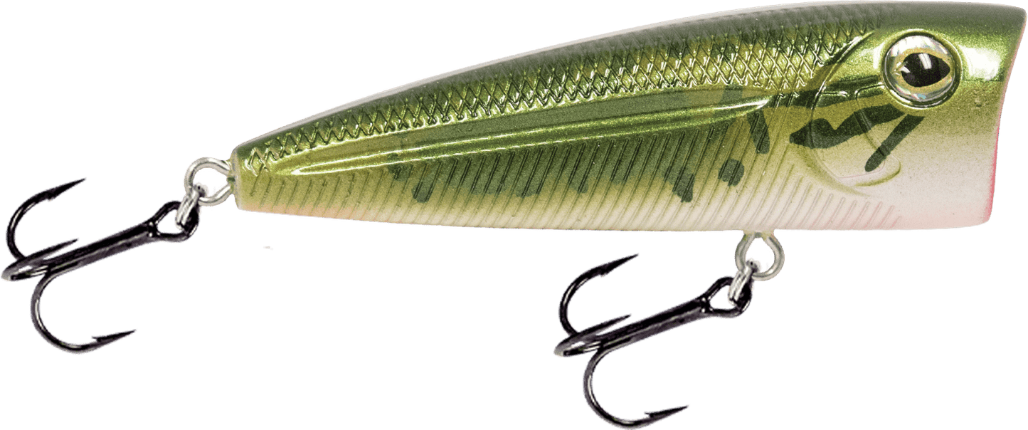 Livingston Lures Walk N Pop 67 - Angler's Pro Tackle & Outdoors