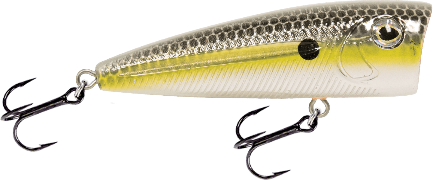 Livingston Lures Walk N Pop 67 - Angler's Pro Tackle & Outdoors