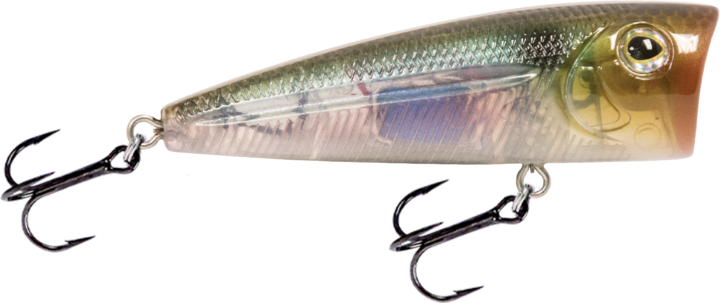 Livingston Lures Walk N Pop 67 - Angler's Pro Tackle & Outdoors