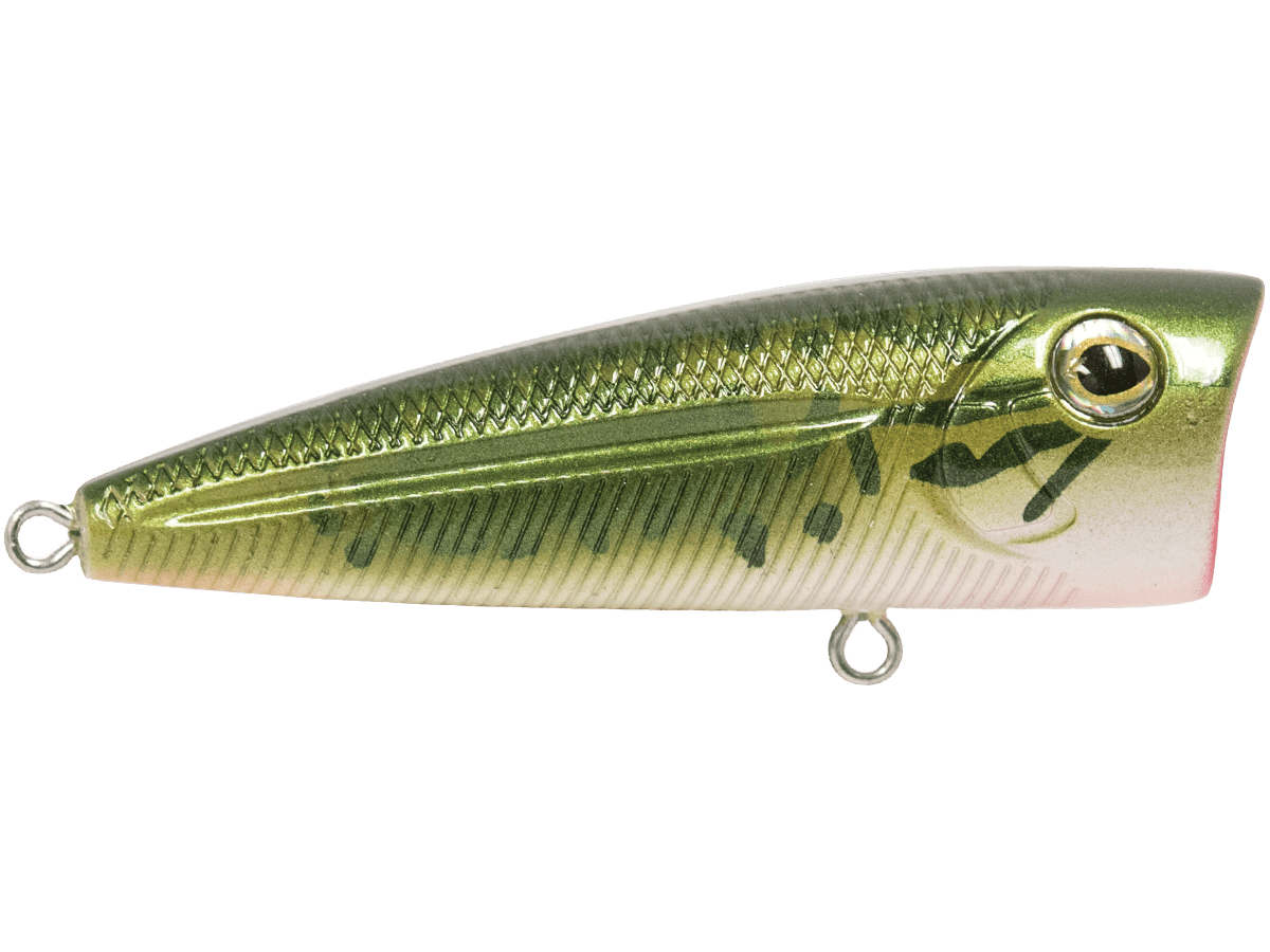 Livingston Lures Walk N Pop 67 - Angler's Pro Tackle & Outdoors