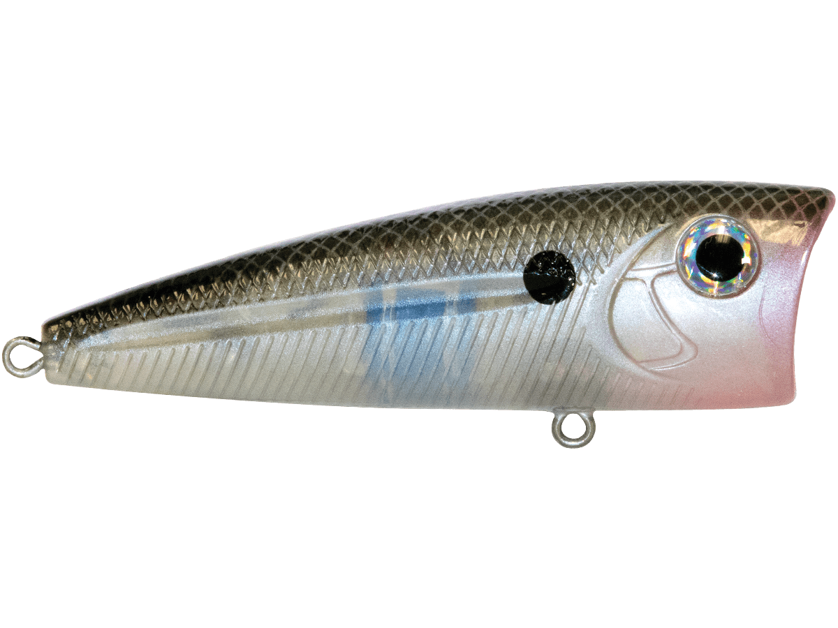 Livingston Lures WALK N POP 77 (EBS MultiTouch) - Angler's Pro Tackle & Outdoors
