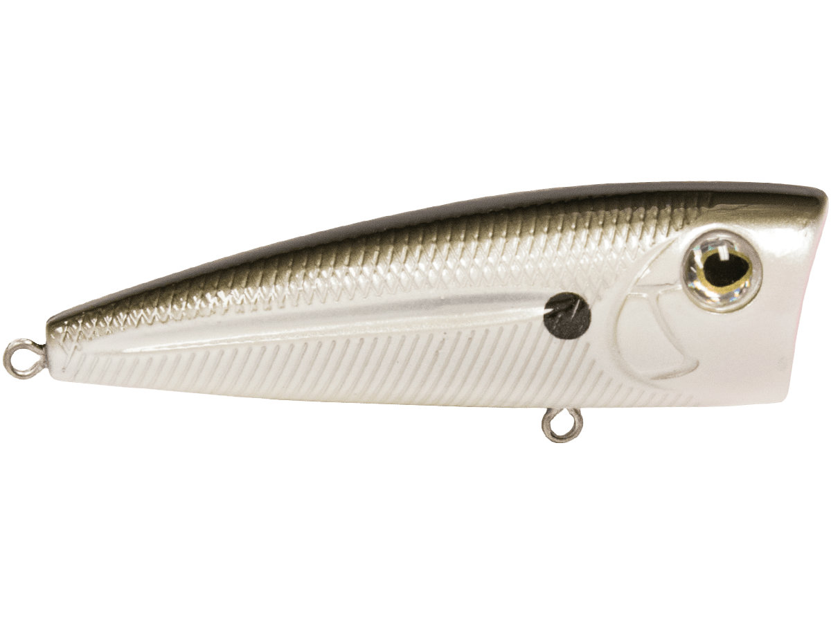 Livingston Lures WALK N POP 77 (EBS MultiTouch) - Angler's Pro Tackle & Outdoors