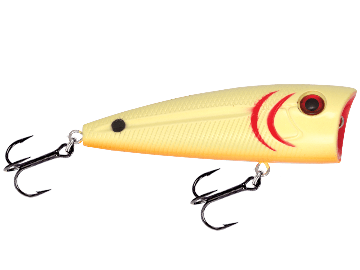 Livingston Lures WALK N POP 77 (EBS MultiTouch) - Angler's Pro Tackle & Outdoors