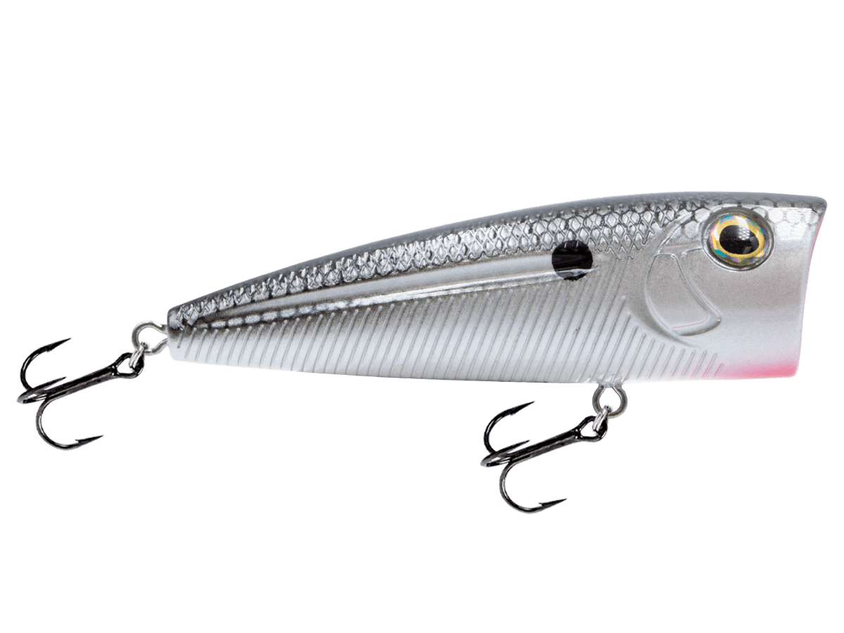 Livingston Lures WALK N POP 77 (EBS MultiTouch) - Angler's Pro Tackle & Outdoors