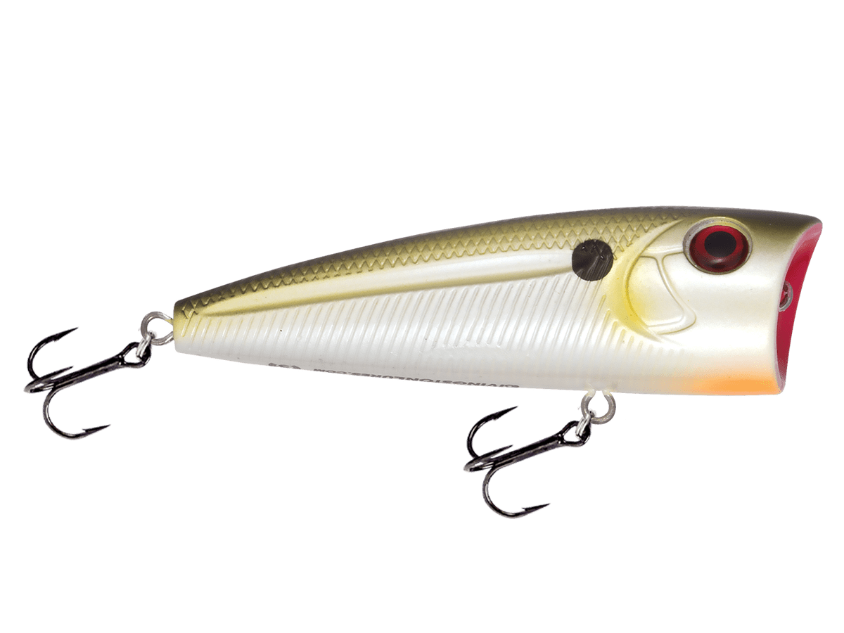 Livingston Lures WALK N POP 77 (EBS MultiTouch) - Angler's Pro Tackle & Outdoors