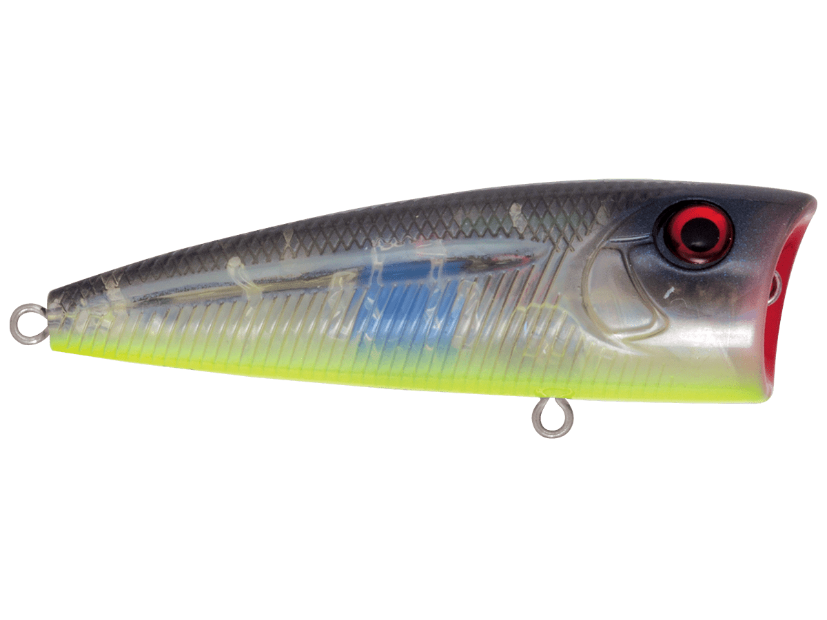 Livingston Lures WALK N POP 77 (EBS MultiTouch) - Angler's Pro Tackle & Outdoors