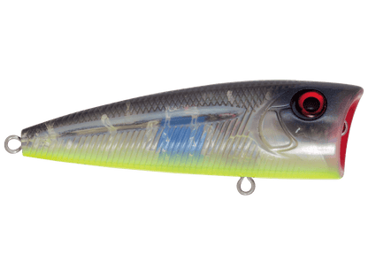 Livingston Lures WALK N POP 77 (EBS MultiTouch) - Angler's Pro Tackle & Outdoors