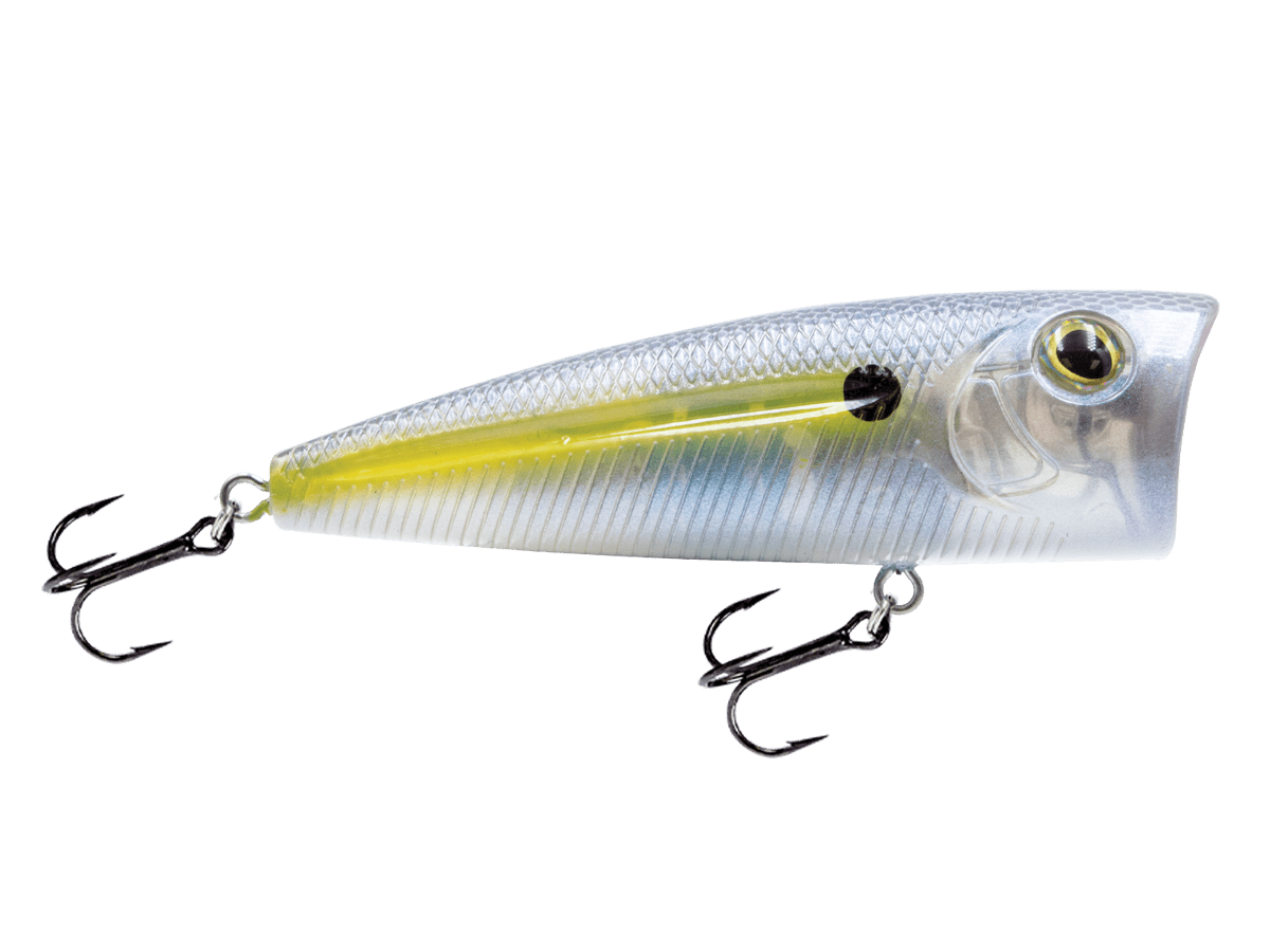 Livingston Lures WALK N POP 77 (EBS MultiTouch) - Angler's Pro Tackle & Outdoors