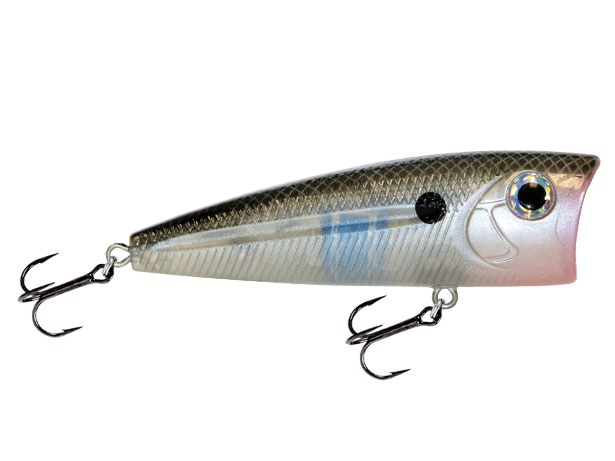 Livingston Lures WALK N POP 77 (EBS MultiTouch) - Angler's Pro Tackle & Outdoors