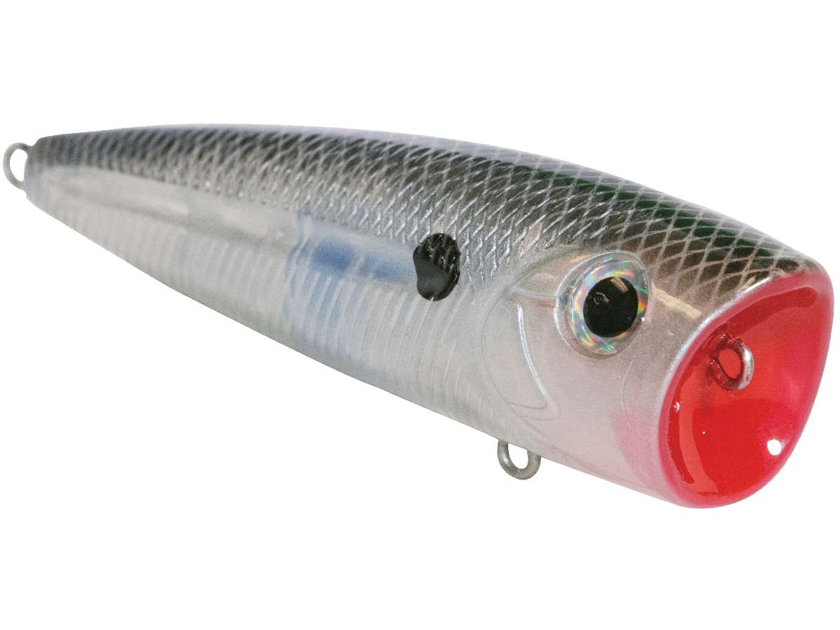 Livingston Lures WALK N POP 77 (EBS MultiTouch) - Angler's Pro Tackle & Outdoors