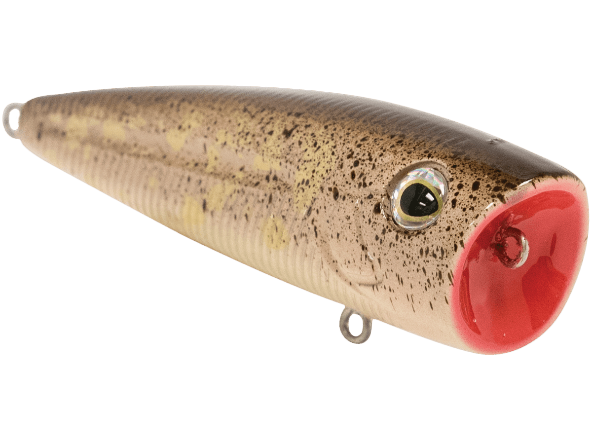 Livingston Lures WALK N POP (EBS MultiTouch) - Angler's Pro Tackle & Outdoors
