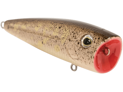 Livingston Lures WALK N POP (EBS MultiTouch) - Angler's Pro Tackle & Outdoors