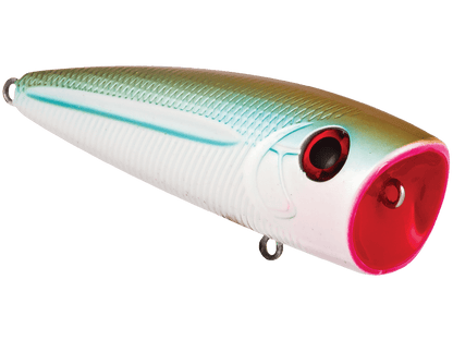 Livingston Lures WALK N POP (EBS MultiTouch) - Angler's Pro Tackle & Outdoors