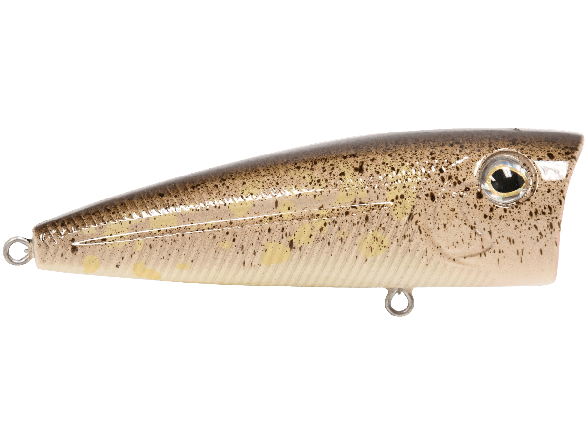 Livingston Lures WALK N POP (EBS MultiTouch) - Angler's Pro Tackle & Outdoors