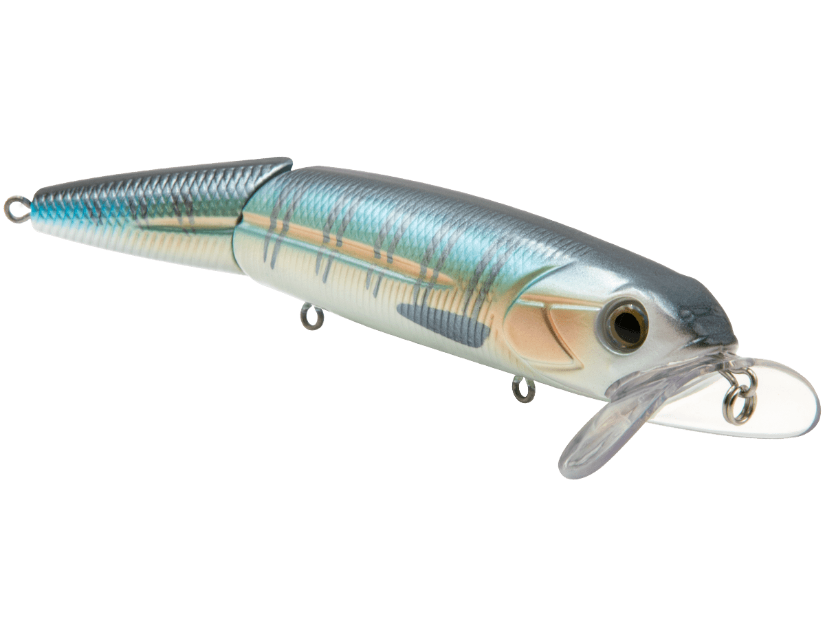 Livingston Lures Walking Boss II Inshore - Angler's Pro Tackle & Outdoors