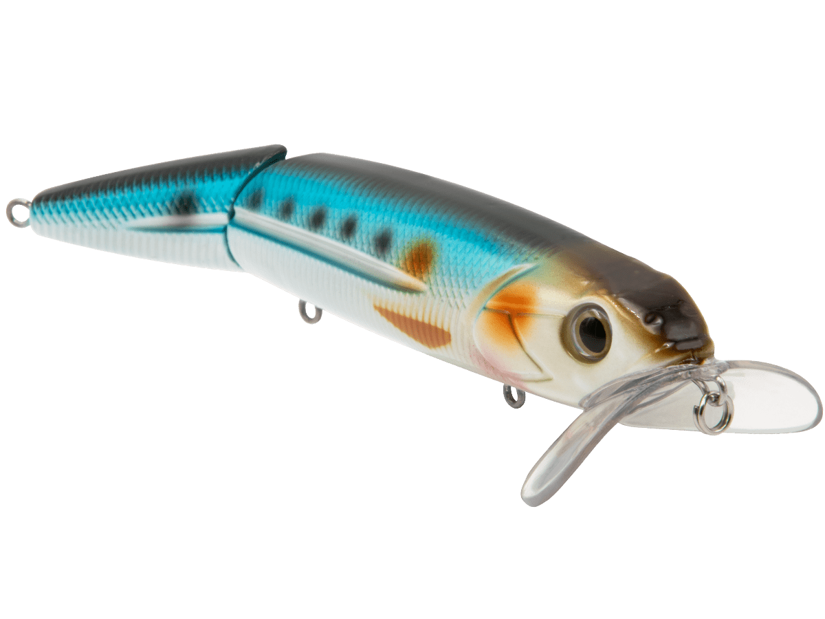 Livingston Lures Walking Boss II Inshore - Angler's Pro Tackle & Outdoors