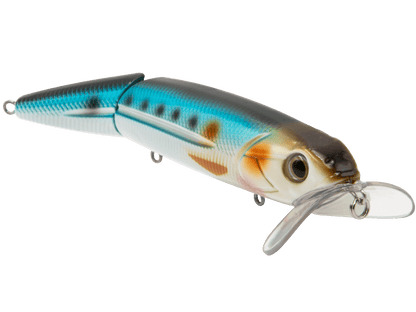 Livingston Lures Walking Boss II Inshore - Angler's Pro Tackle & Outdoors