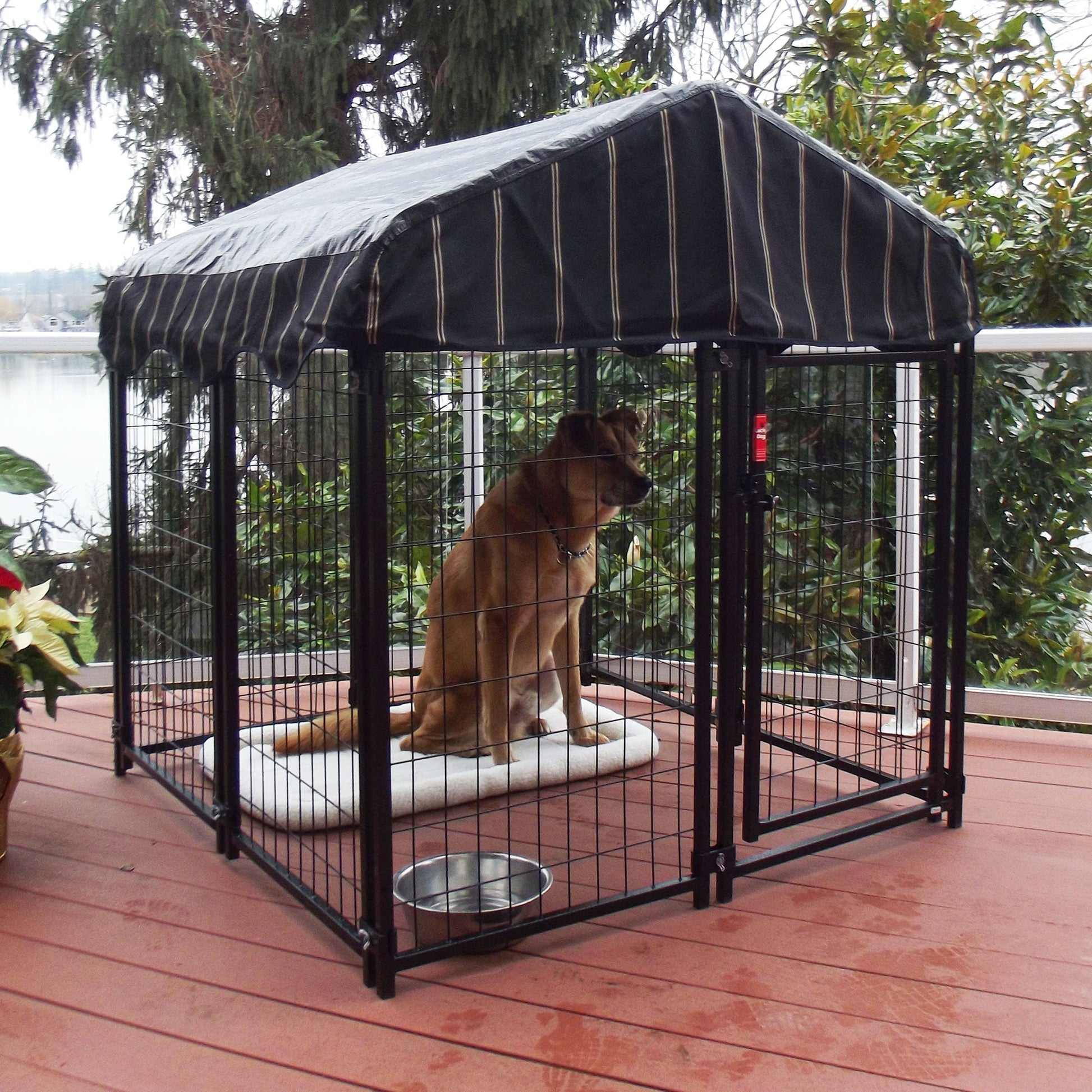 Lucky Dog 4' x 4' x 4.3' Uptown Welded Wire Dog Kennel w/ Waterproof Cover - Angler's Pro Tackle & Outdoors