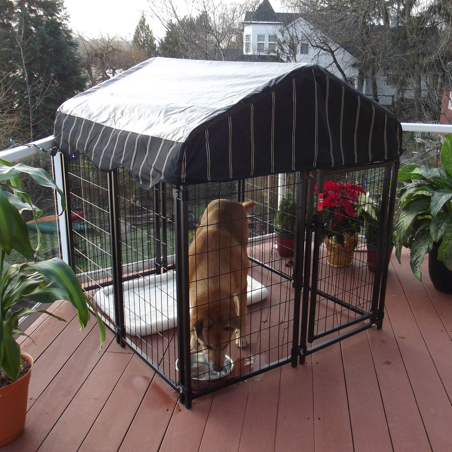 Lucky Dog 4' x 4' x 4.3' Uptown Welded Wire Dog Kennel w/ Waterproof Cover - Angler's Pro Tackle & Outdoors