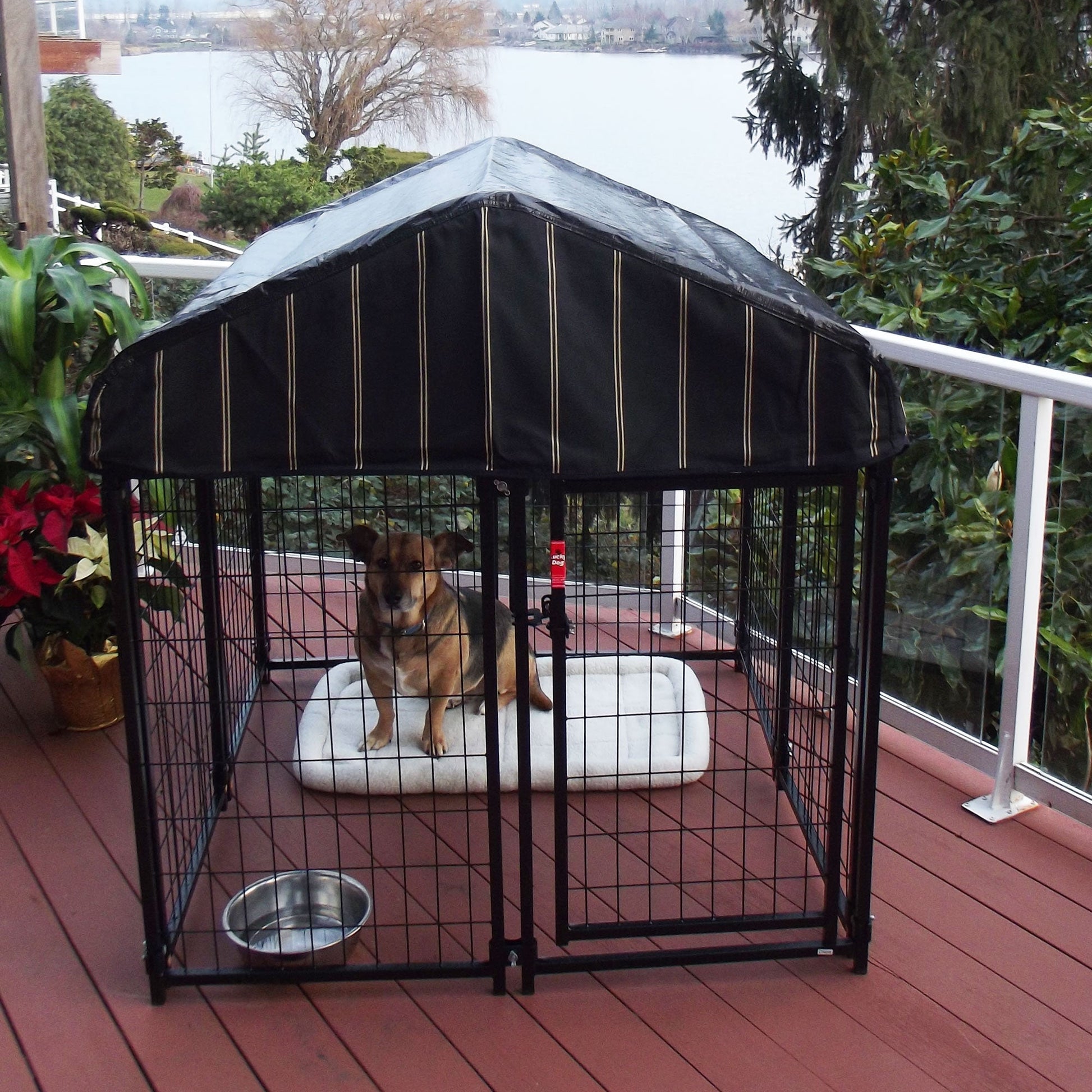 Lucky Dog 4' x 4' x 4.3' Uptown Welded Wire Dog Kennel w/ Waterproof Cover - Angler's Pro Tackle & Outdoors